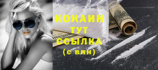 стафф Медногорск