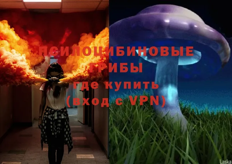 Галлюциногенные грибы Psilocybe  blacksprut зеркало  Павловский Посад 