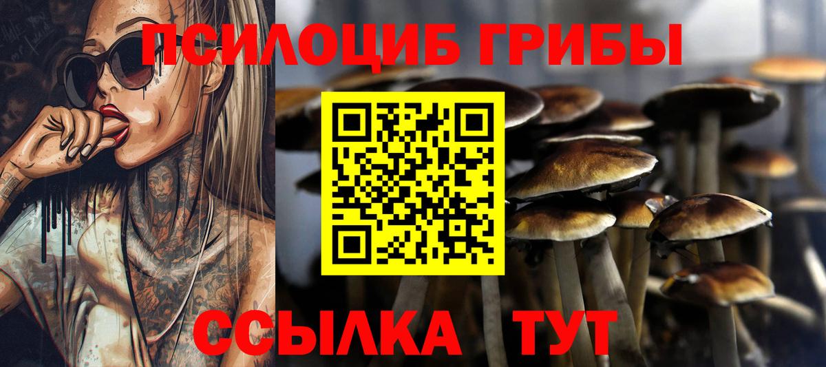 Псилоцибиновые грибы прущие грибы  где купить наркотик  Павловский Посад  Вход с VPN  Псилоцибиновые грибы GOLDEN TEACHER 